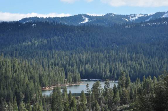 Natureza exuberante no Kings Canyon National Park,  na Califórnia - EUA